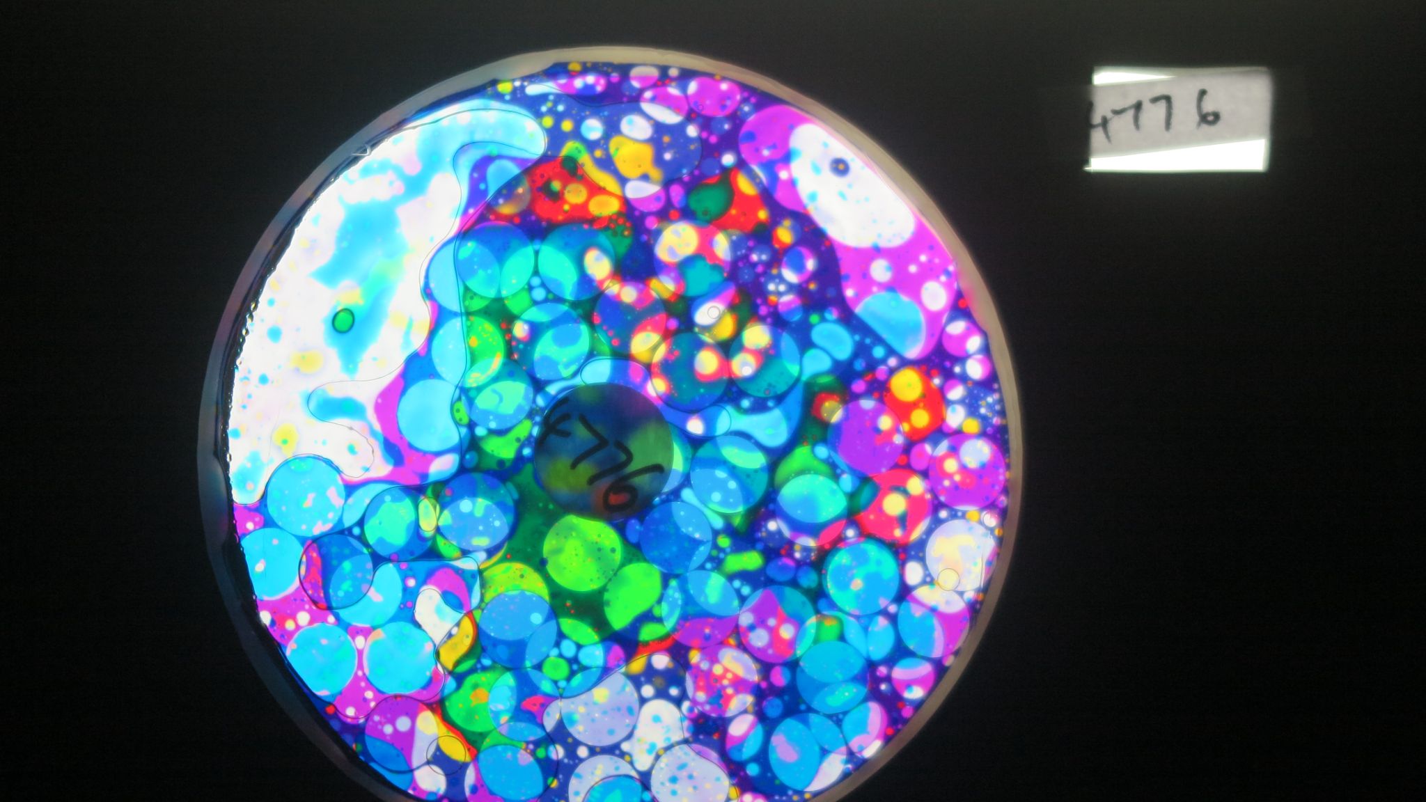 BV4776 bubble vision oil wheel